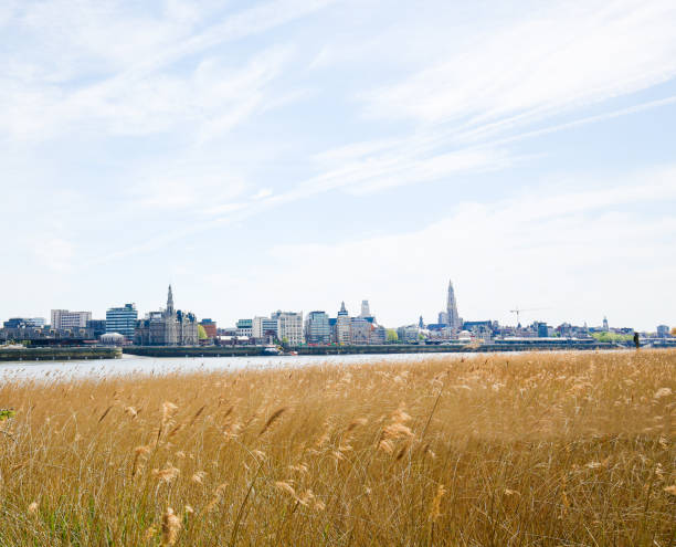 View on the center of Antwerp by the River Scheldt in Flanders, Belgium
