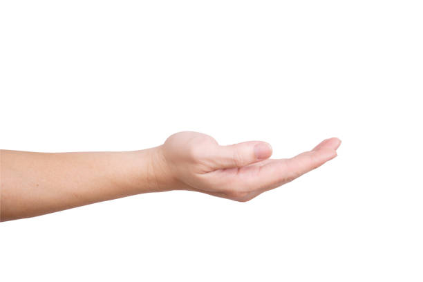 istock Open hand with palm up isolated on white background 693993618