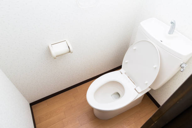 istock Rest room,Western style toilet 693993704