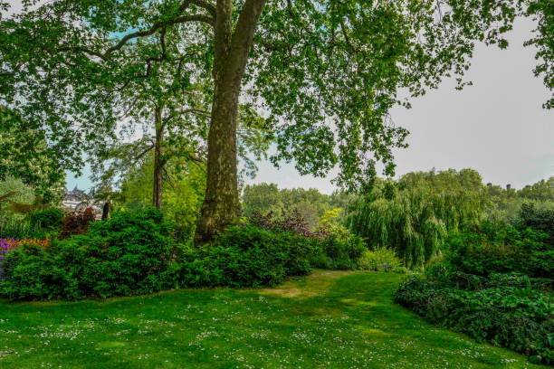 istock English country garden in Spring 693994182