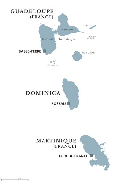 Guadeloupe, Dominica, Martinique political map Guadeloupe, Dominica, Martinique political map with capitals Basse-Terre, Roseau and Fort-de-France. Caribbean islands, parts of Lesser Antilles. Gray illustration over white. English labeling. Vector french overseas territory stock illustrations