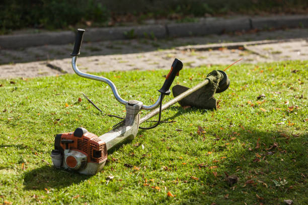 istock Mower brushcutter on green grass 694000210