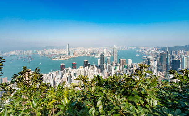 istock Hong Kong Cityscape 694010236