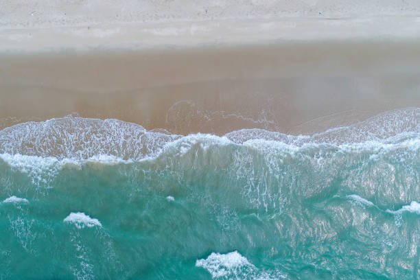 istock Beach on aerial drone top view with ocean waves reaching shore. 694023022