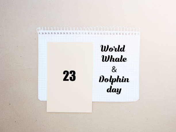 istock World Whale Dolphin day emblem.Calendar day July 23 694023412