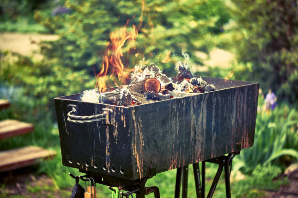 istock Firewood burns in a metal grill 694033720