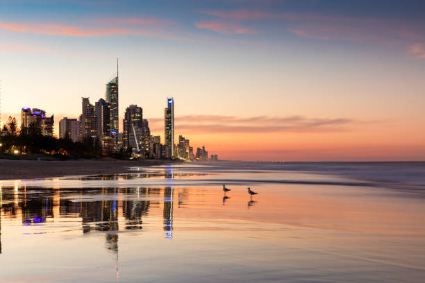 серферс-парадайз высотных зданий на закате - australian seagull стоковые фото и изображения