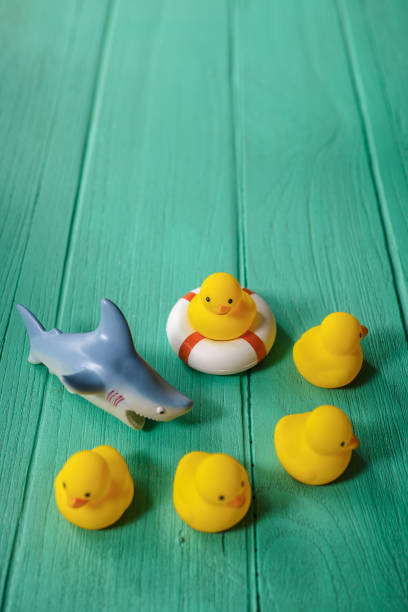istock Five rubber ducks on an old turquoise wooden table with one duck on a safety inflatable ring and four other ducks moving away from a ferocious rubber shark. 694050420