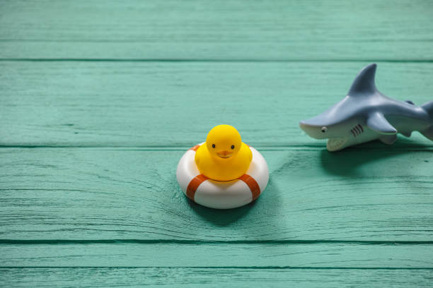 istock One rubber duck on an old turquoise wooden table on a safety inflatable ring whilst a ferocious rubber shark circles the duck. 694050432