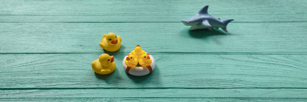 istock Five rubber ducks on an old turquoise wooden table with three baby ducks on a safety inflatable ring and two adult parent ducks keeping guard to protect their children from a a ferocious rubber shark, which is circling the family. 694050516