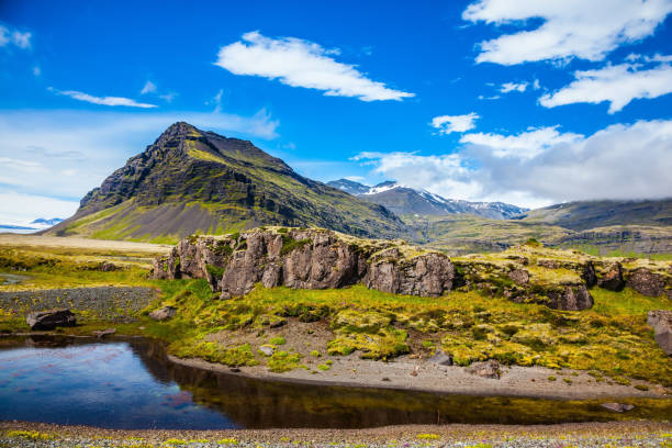 istock Tundra in Summer 694051060
