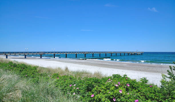 istock Beach and Pier,Heiligendamm,baltic Sea,Germany 694053768