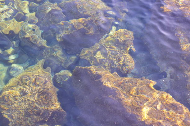 istock Stones in the sea in Barcelona 694057452