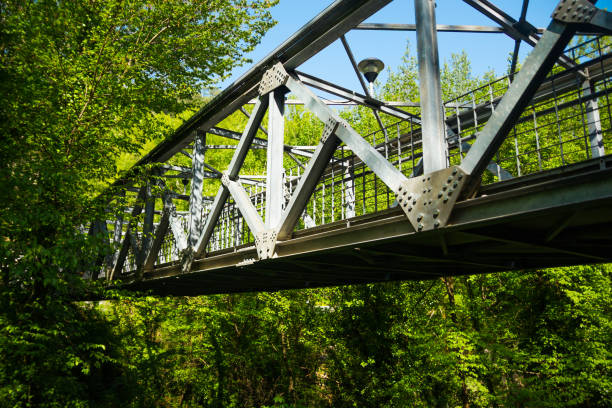 istock Metal bridge over river in country forest 694058588