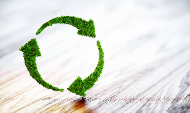 istock Sustainable development concept. 3D illustration on wooden background. 694076680