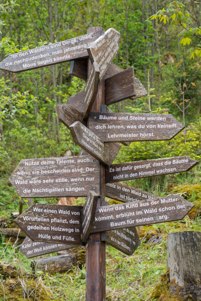 istock Many messages on signs in the forest 694082502