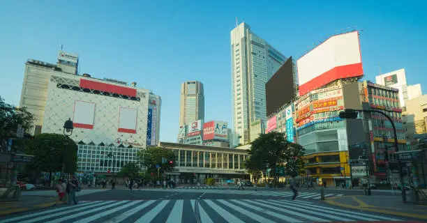 This is taken in front of Shibuya station at 5 am on Saturday.There were a lot of people who seemed to stay up all night, because most of public transportation systems do not work before 5 am in Japan.