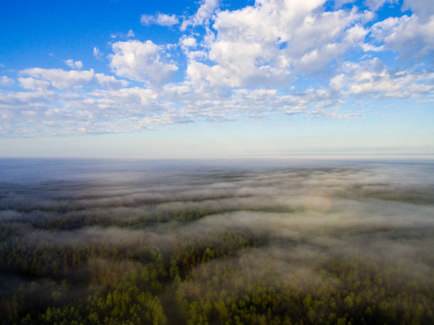 istock drone image. aerial view of morning mist over green forest 694083830