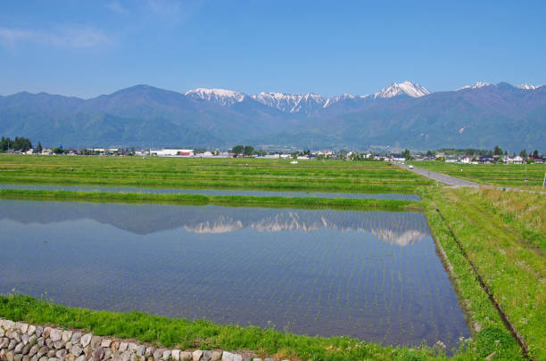 istock Countryside scenery in Azumino 694092126