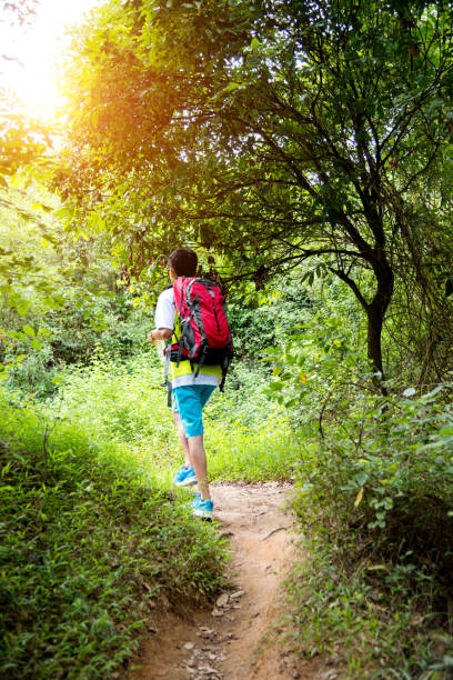 istock Young man with backpack hiking in the forest 694094920