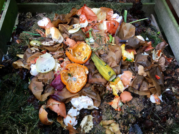 istock Fresh bio waste and compost with orange peels 694102534