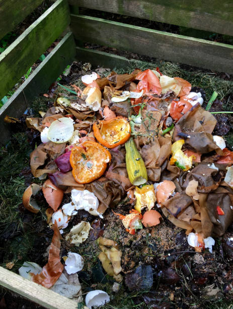 istock Fresh bio waste and compost with orange peels 694102536