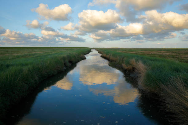 istock Natural water channel in a wild sea grass meadow 694102894