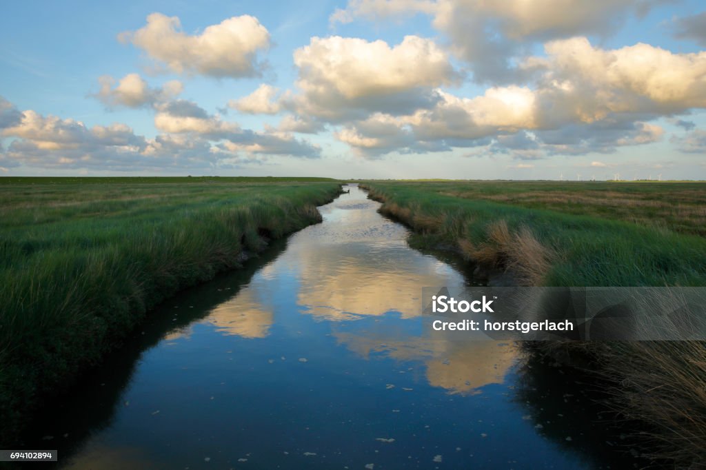 Natural water channel in a wild sea grass meadow Wild meadow with a natural channel, reflecting the cloudy sky.  German north sea region. Meadow Stock Photo