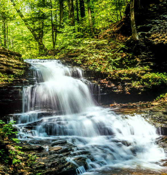 istock Ricketts Glen harbors Glens Natural Area 694102932