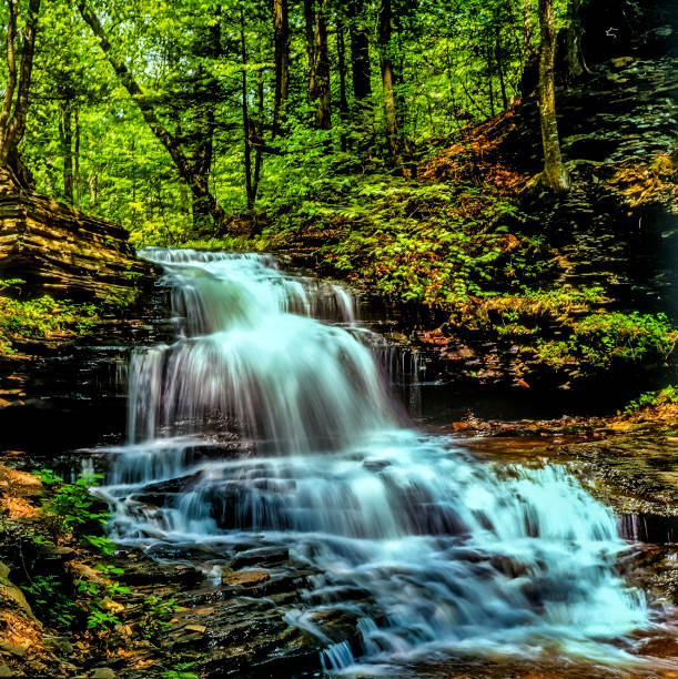 istock Ricketts Glen harbors Glens Natural Area 694105270
