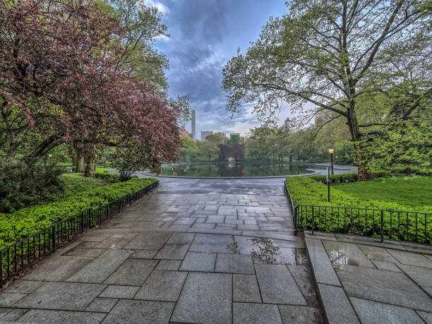 istock Central Park, New York City spring 694106682