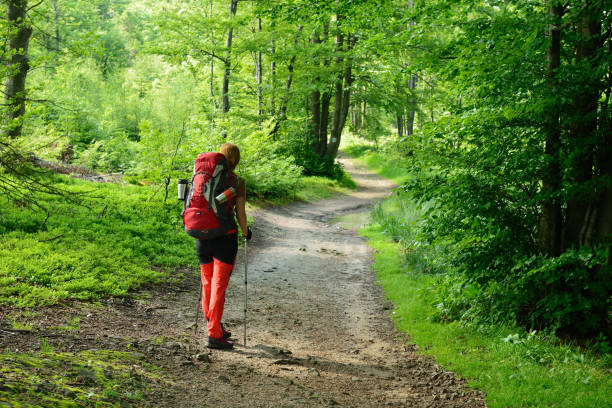 istock Treking in the mountains with the backpack in Poland 694109412