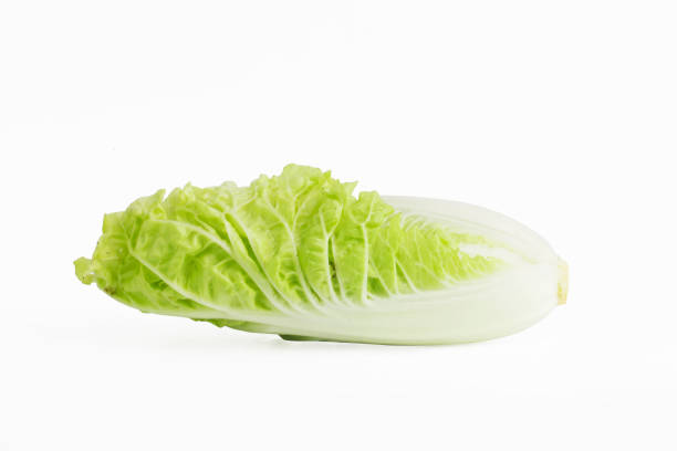 istock Chinese cabbage isolated on the white background. 694109578