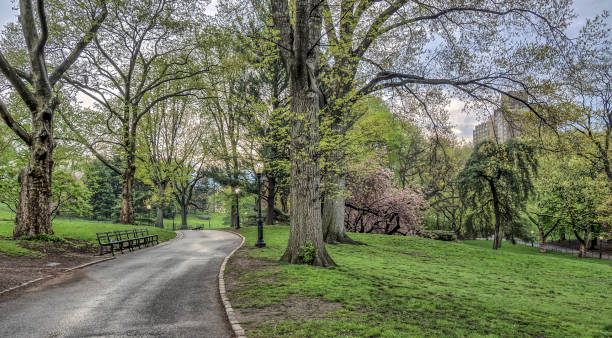istock Central Park, New York City spring 694110626