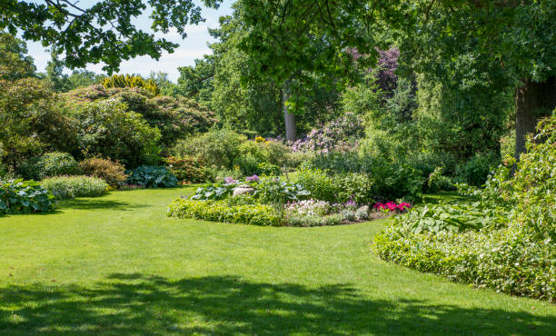 istock english border garden 694113468