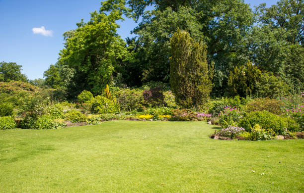 jardim inglês de fronteira - englischer garten - fotografias e filmes do acervo