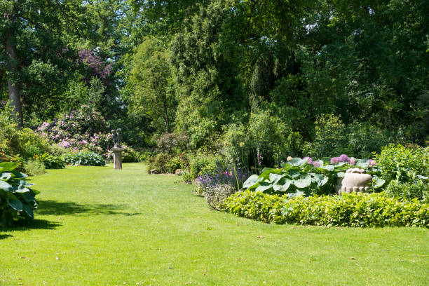 английский пограничный сад - englischer garten стоковые фото и изображ�ения