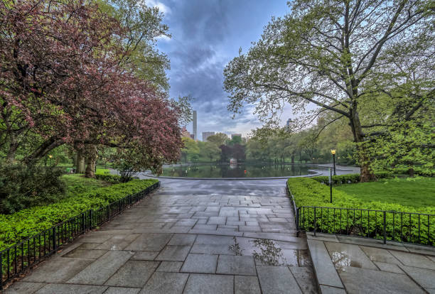 istock Central Park, New York City spring 694113542