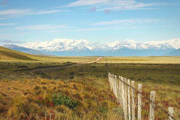 The steppe ecosystem of Patagonia at sunset between the cities of Punta Arenas and Puerto Natales, Chile. This landscape is the generic view in southern Chile and Argentina.