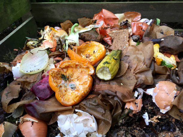 istock Fresh bio waste and compost with orange peels 694116576
