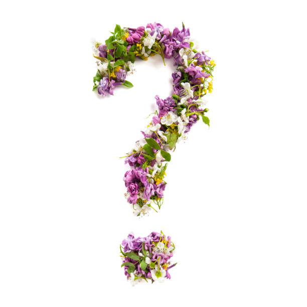 Question Mark Of Natural Meadow Flowers And Lilacs On A White Background  Stock Photo - Download Image Now - iStock