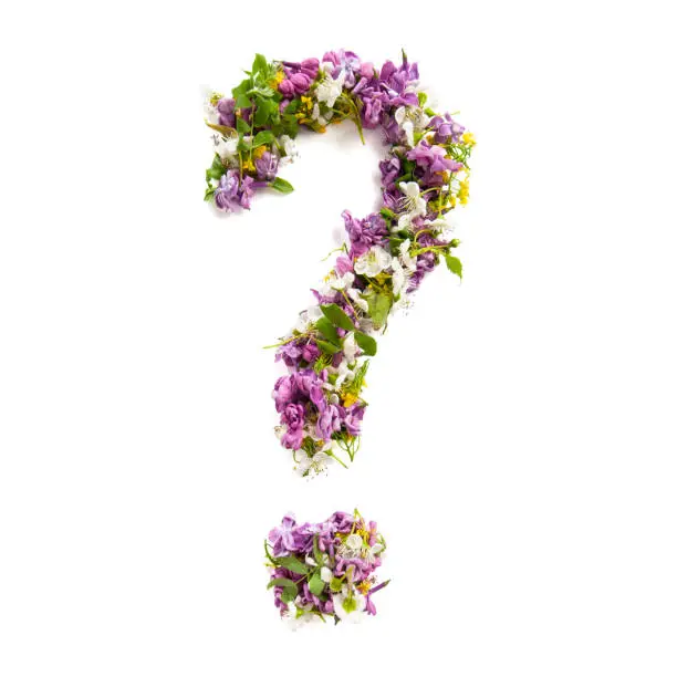 Photo of Question mark of natural meadow flowers and lilacs on a white background.