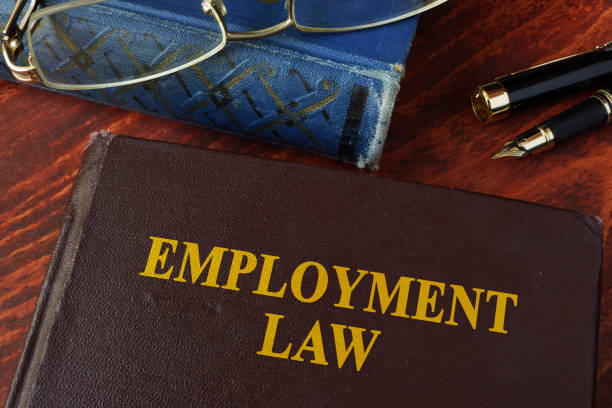 istock Book with title employment law on a table. 694122136