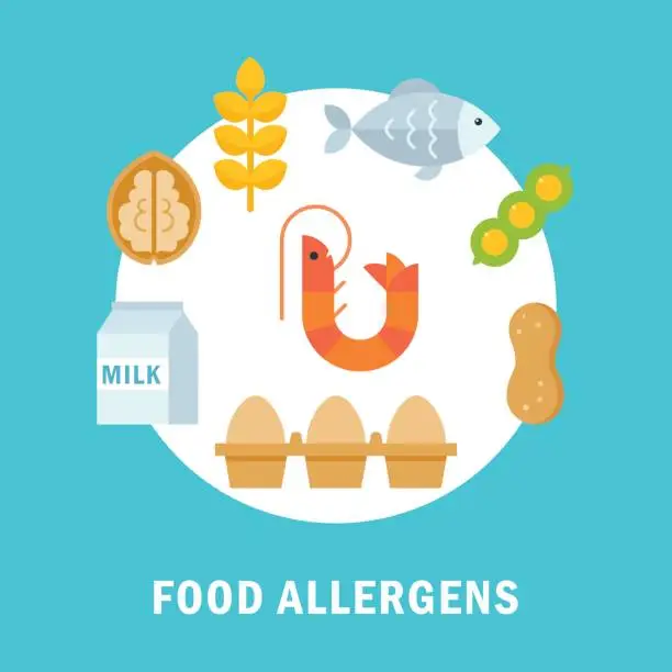 Vector illustration of Food Allergy Triggers or Allergens Illustration