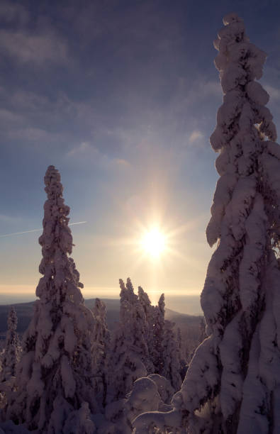 istock Norway: Snow crystals sparkle and dance in the afternoon sun 694125322