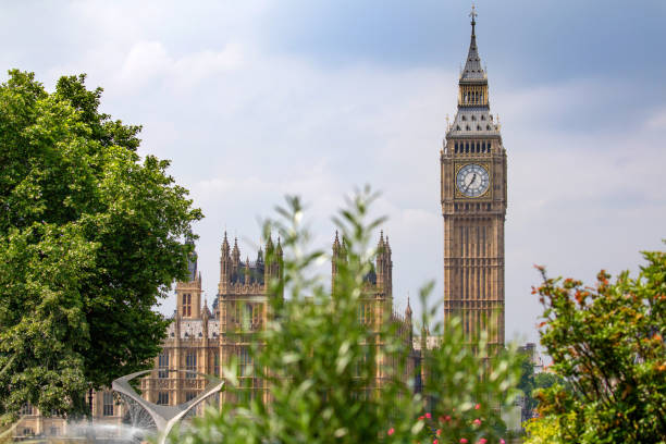 istock Big Ben shot through foliage 694125784