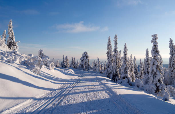 norwegia: idealne warunki do jazdy na nartach biegowych - skiing winter snow mountain zdjęcia i obrazy z banku zdjęć