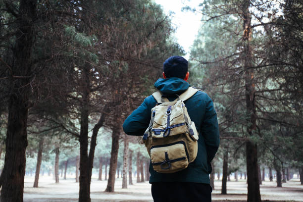 istock Young traveler trekking into the woods with backpack along the path 694131372