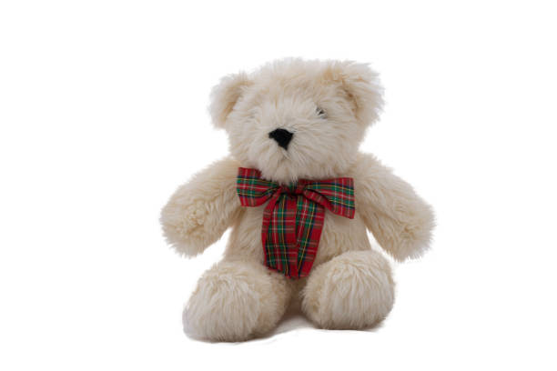 istock White teddy bear sitting isolated on white background 694131562