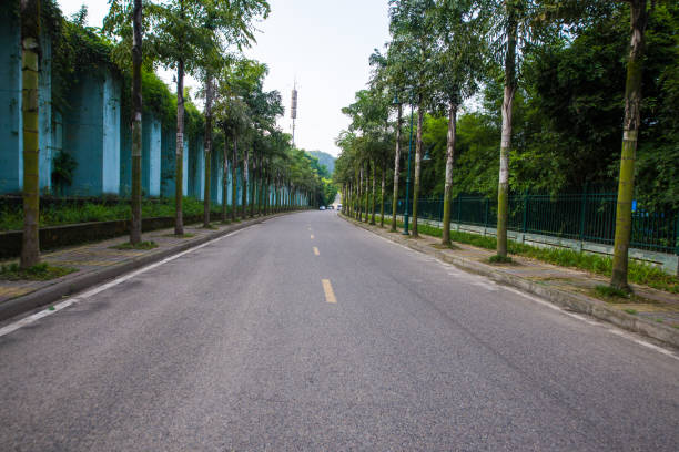 istock The beautiful road is surrounded by greenery 694132048